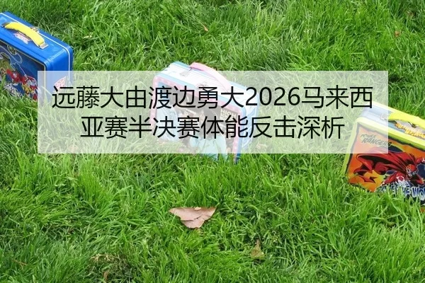 yuan-teng-da-you-du-bian-yong-da-ma-lai-xi-ya-sai-ban-jue-sai-ti-neng-fan-ji-shen-xi-2-320.jpg